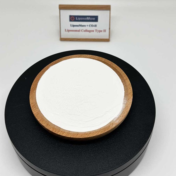 /uploads/image/2025/09/28/Liposomal-collagen-ii-1.jpg Liposomal-collagen-ii-1.jpg