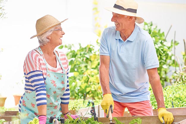 لماذا النوع الثاني من الكولاجين هو الوصي الأساسي لصحة المفاصل