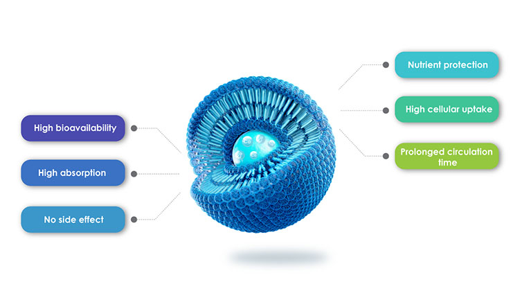 مزايا المنتجات Liposomal