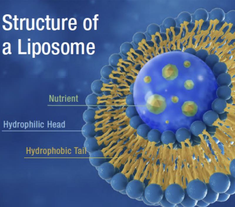 تحسين الاستقرار