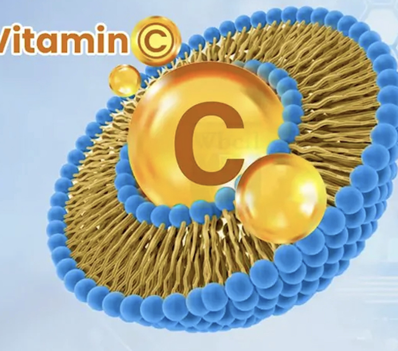 هيكل التغليف