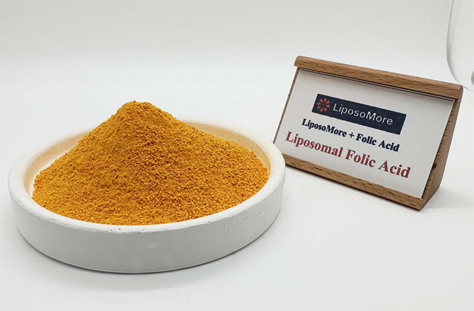 حمض الفوليك الدهني