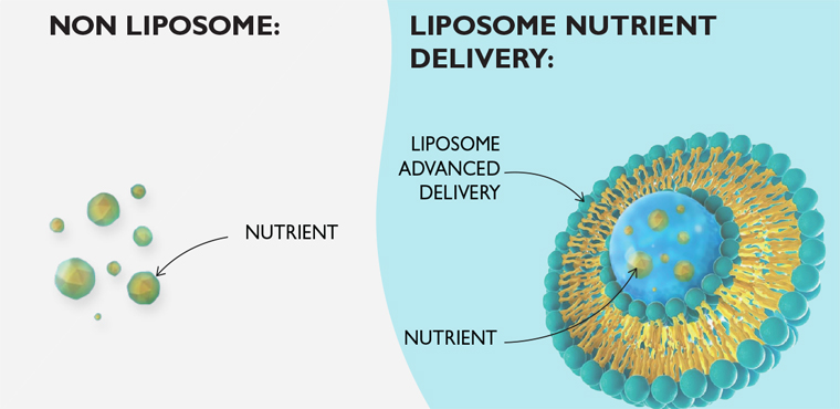 ما هي تقنية Liposomal ؟