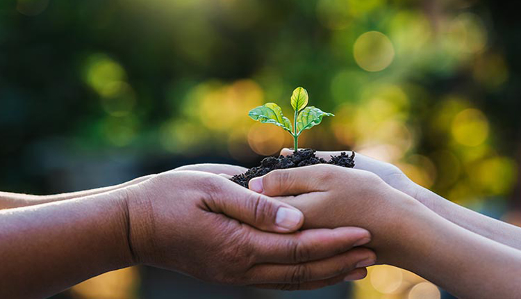 حول المسؤولية الاجتماعية الغذائية بهيجة