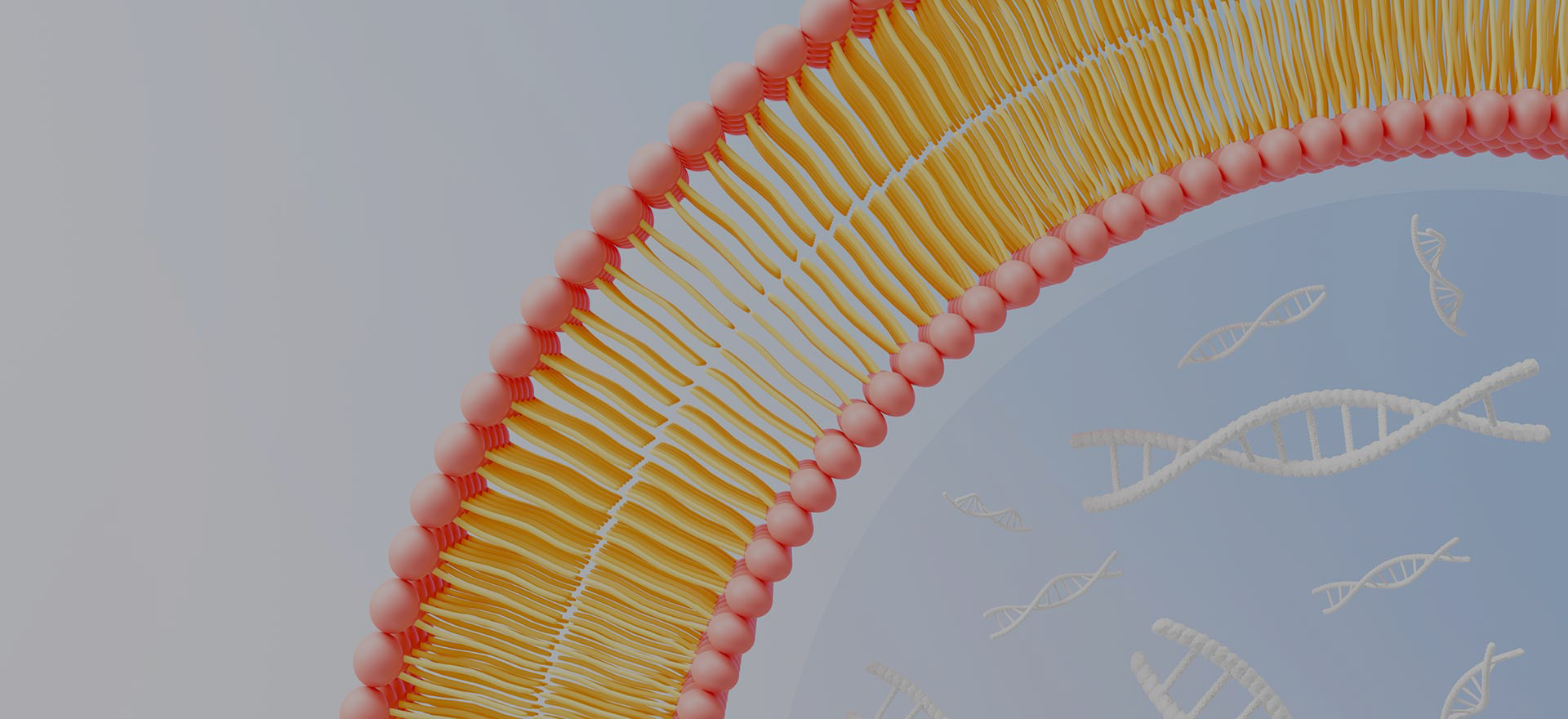 لماذا تختار LiposoMore ؟