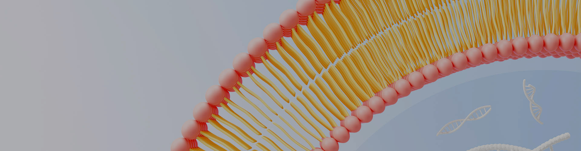 لماذا Liposomal