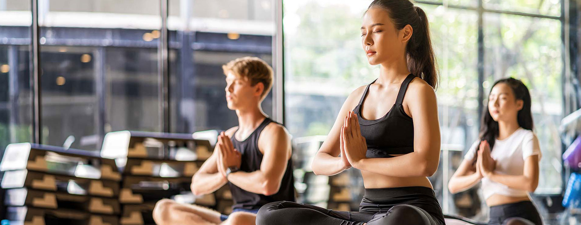 المعادن الشحومية