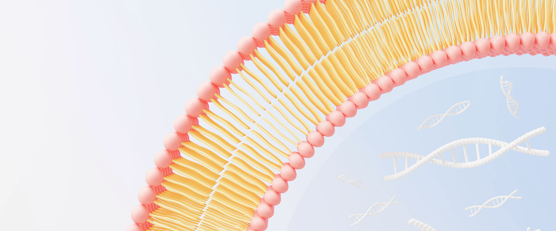 ما هي الفيتامينات Liposomal