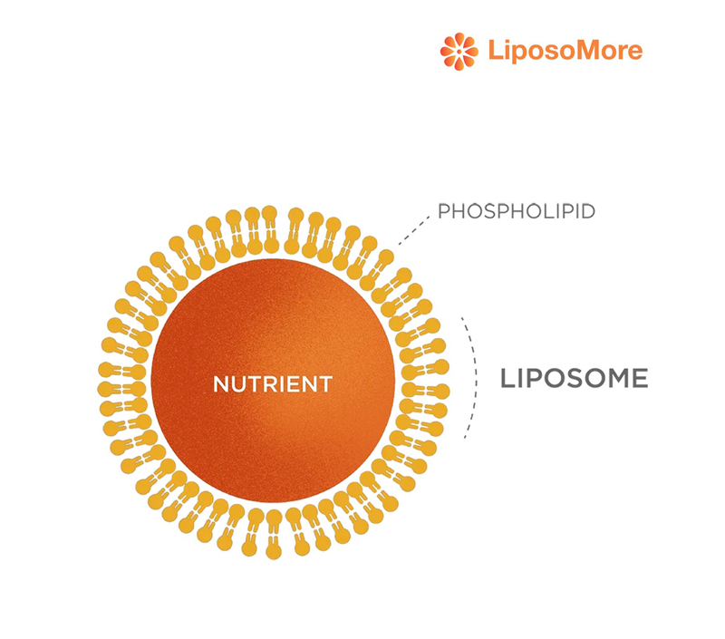 تعزيز استقرار المكونات