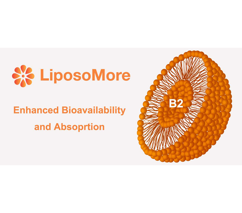 تعزيز التوافر البيولوجي والامتصاص