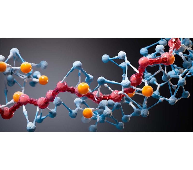 يعزز التمثيل الغذائي الخلوي