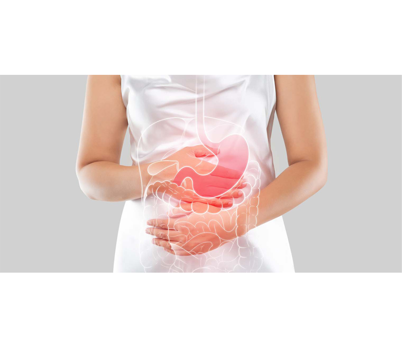 لطيف على الجهاز الهضمي