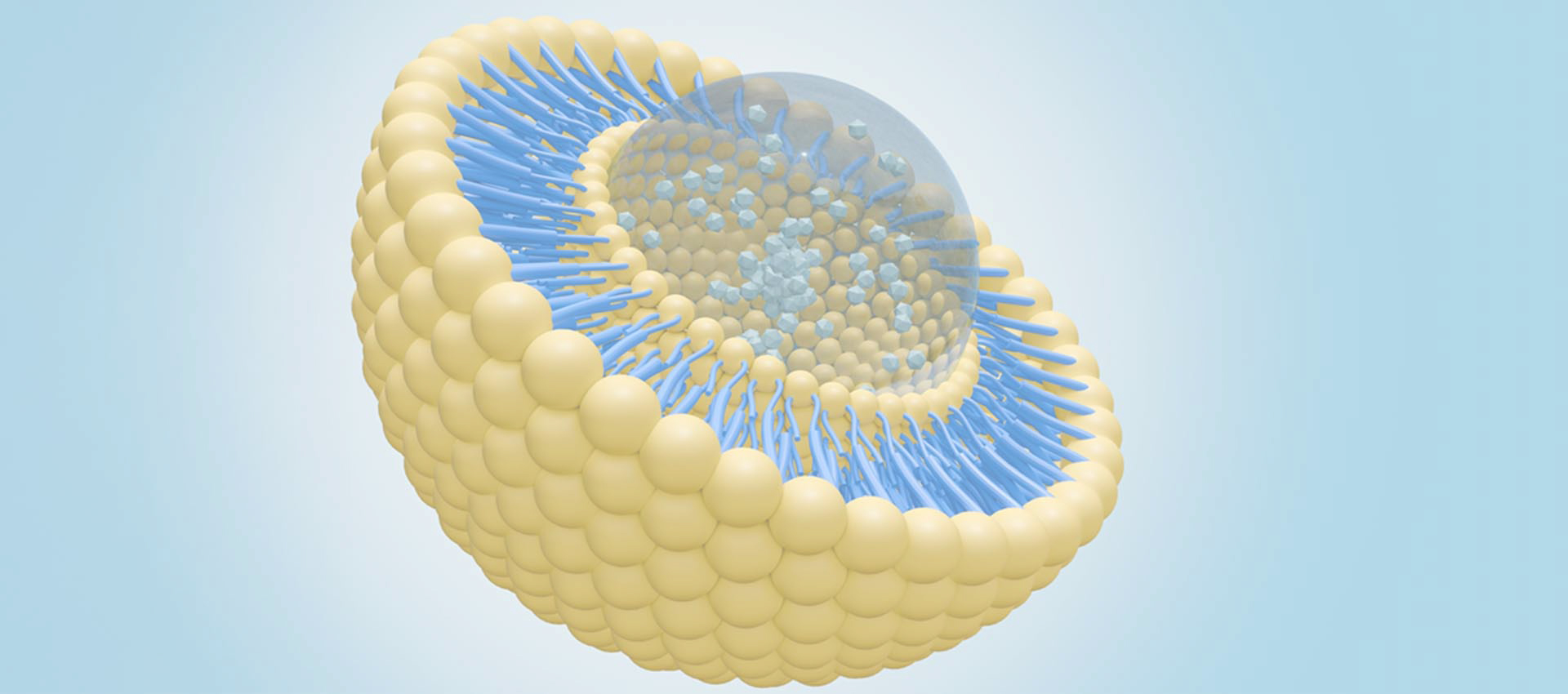 حمض ألفا ليبوسيك الليبوسومال