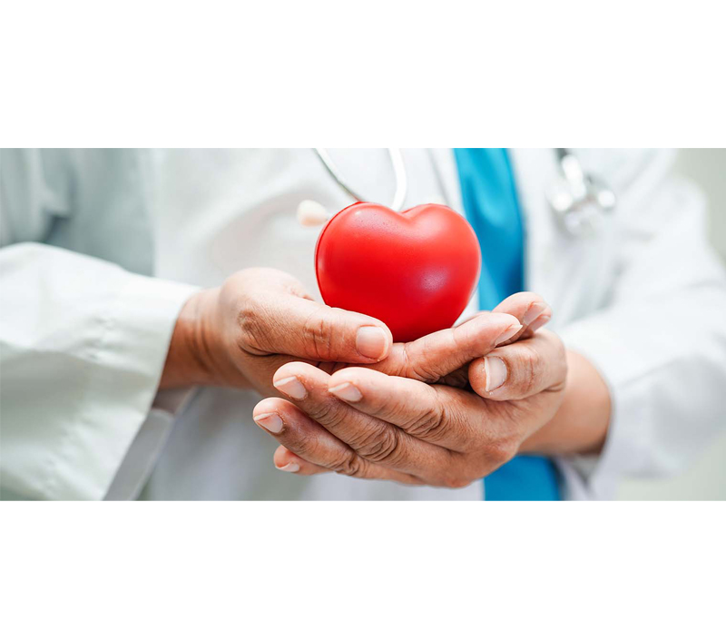 يدعم صحة القلب والأوعية الدموية