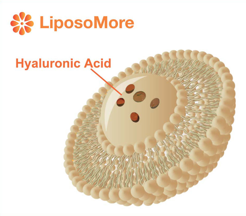 تعزيز امتصاص والتوافر البيولوجي