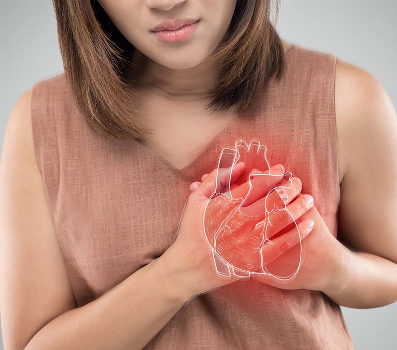 حماية القلب والأوعية الدموية