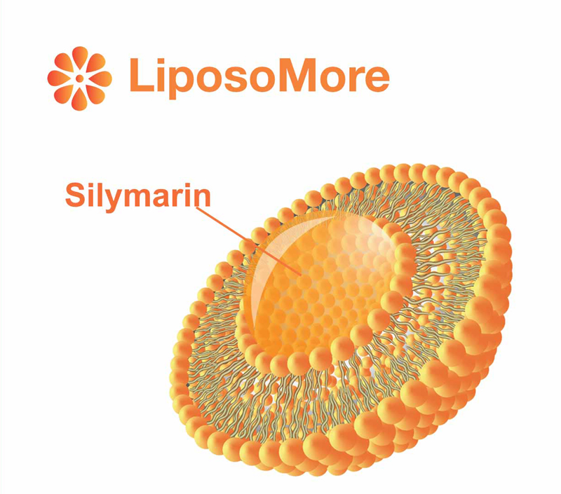 تعزيز التوافر البيولوجي والامتصاص الخلوي