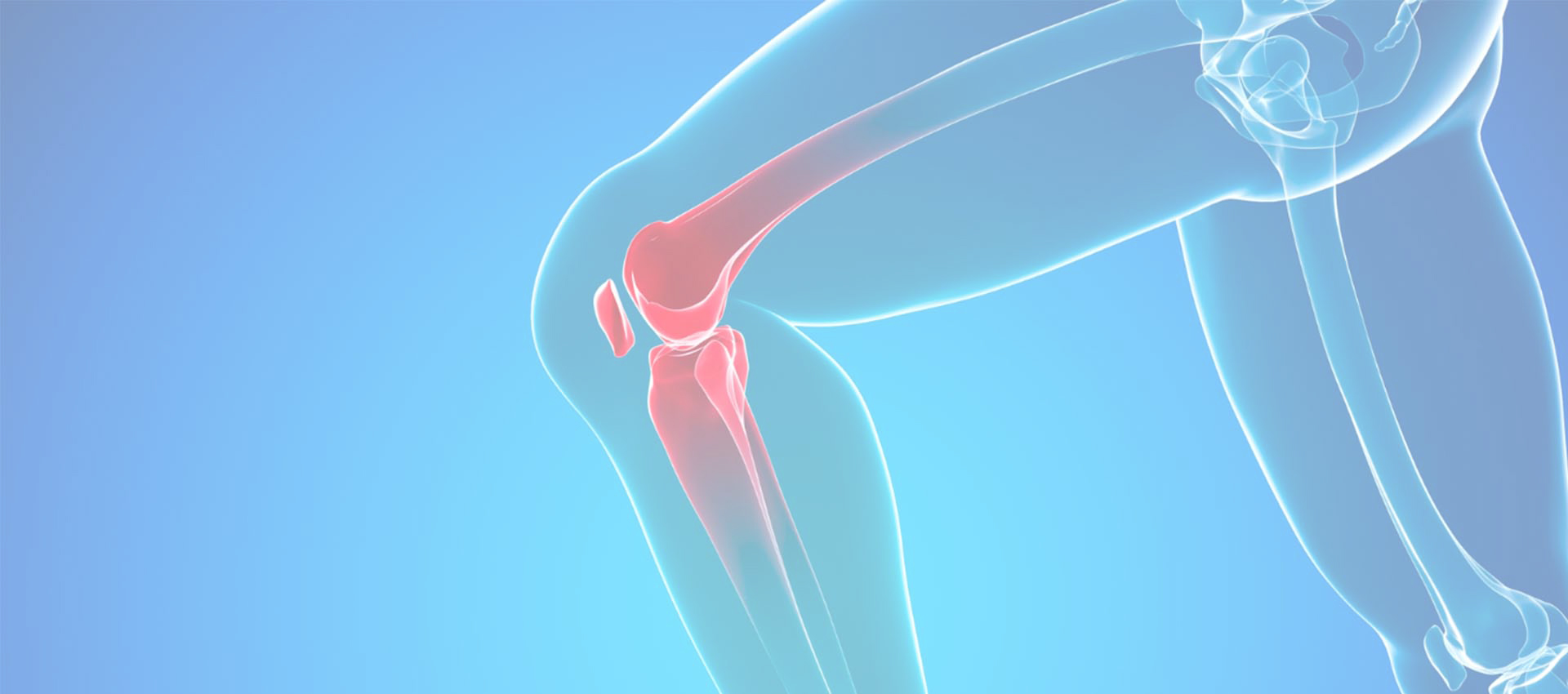 الكولاجين الشحمي النوع الثاني