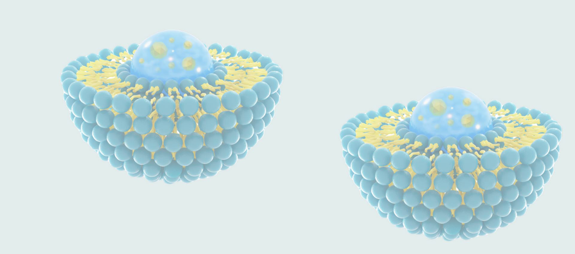 الجلوتاثيون الشحومي