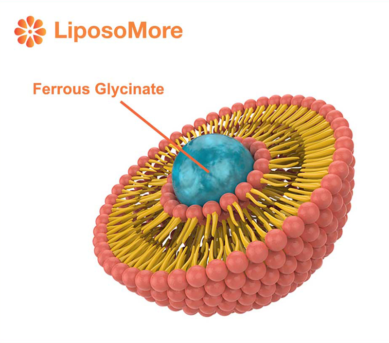 تحسن كبير في التوافر الحيوي لتكملة فعالة