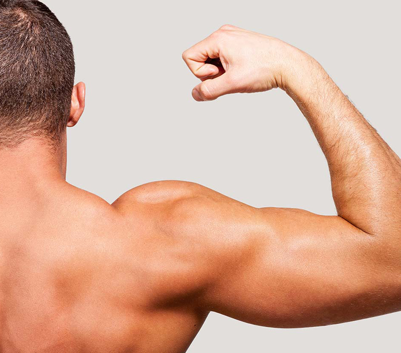 يدعم وظيفة العضلات والتعافي البدني