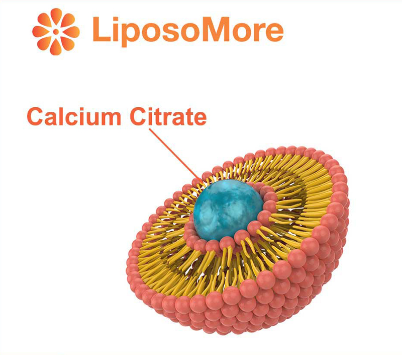 التوافر البيولوجي متفوقة من خلال تسليم Liposomal