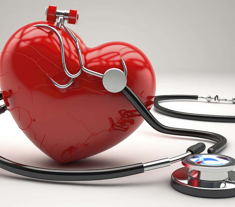 يساعد في وظائف القلب والأوعية الدموية والعضلية والعصبية