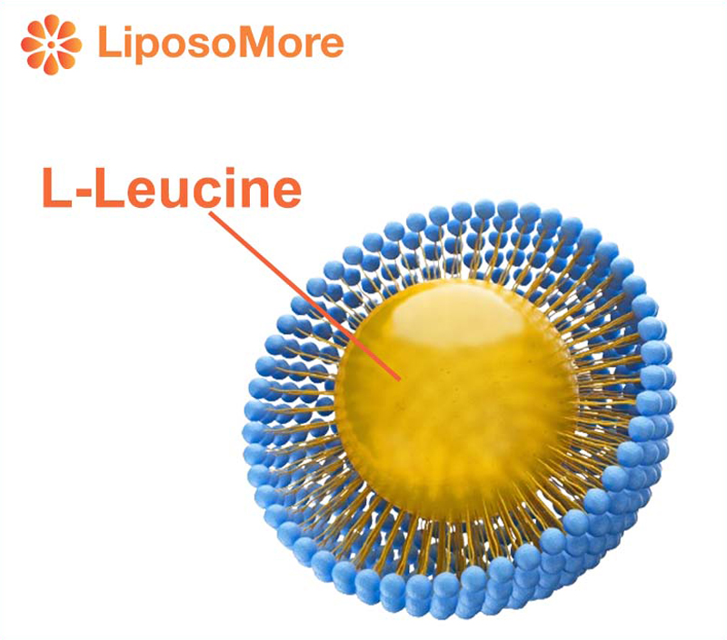 تسليم Liposomal يعزز التوافر البيولوجي