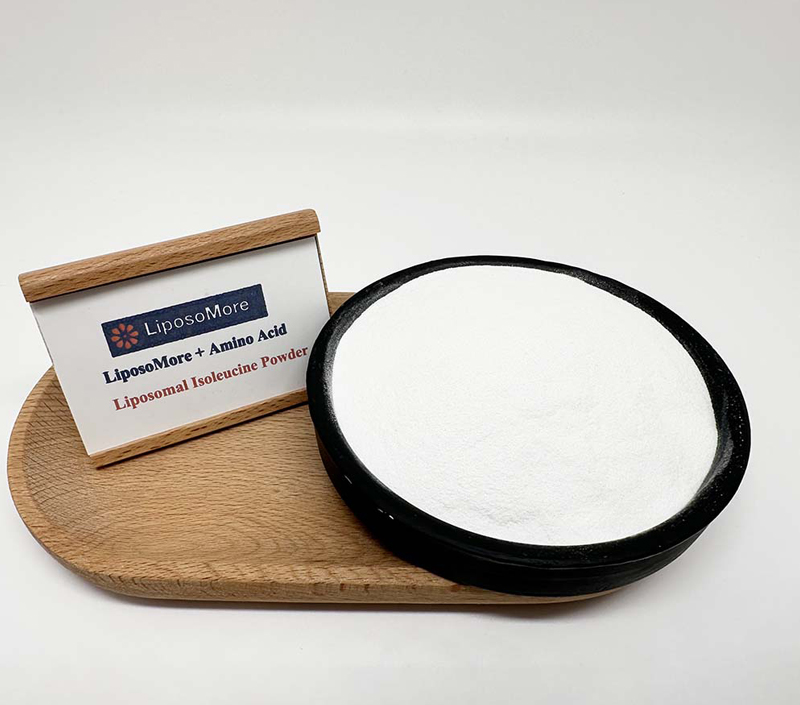 تكنولوجيا الجسيمات الشحوية-تعزيز التوافر البيولوجي والاستقرار