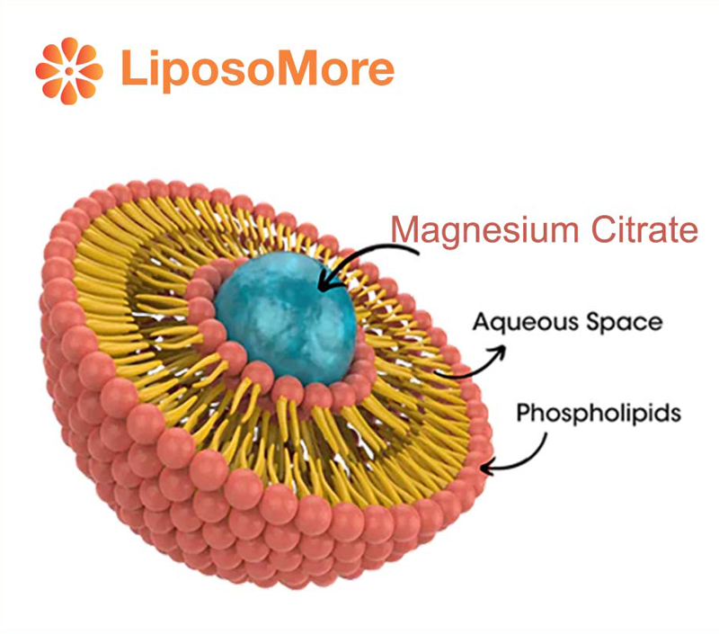 يقلل من الآثار الجانبية الجهاز الهضمي
