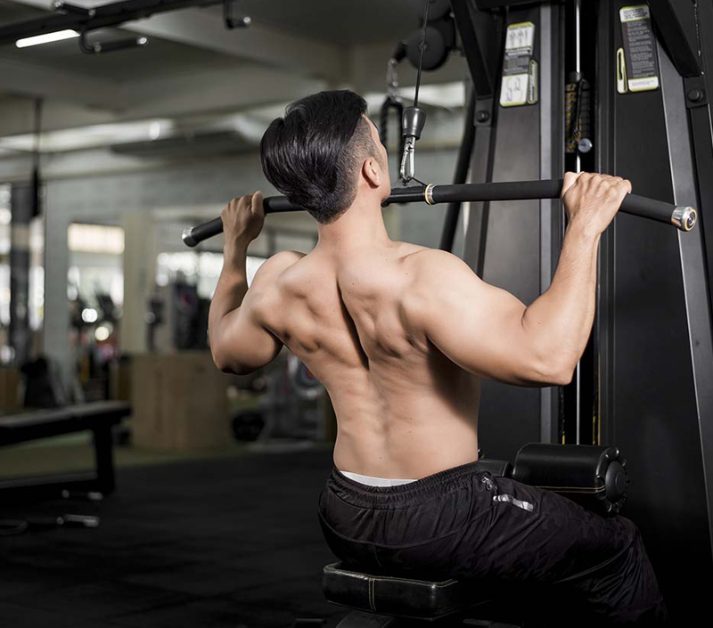 يدعم الوظائف الخلوية والعضلية