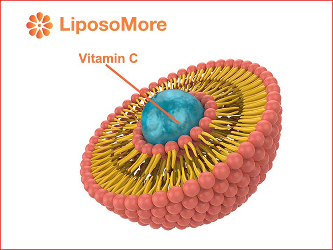 liposomal vitamin c emerges as best selling ingredient among 30 liposomal raw materials under liposomore 3 liposomal vitamin c emerges as best selling ingredient among 30 liposomal raw materials under liposomore 3