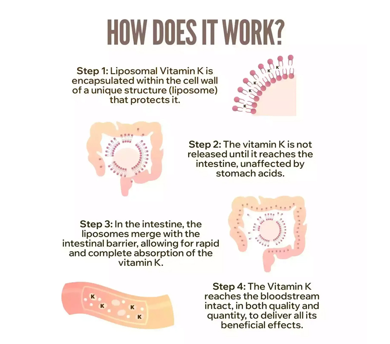 التوافر البيولوجي الفائق لامتصاص أفضل