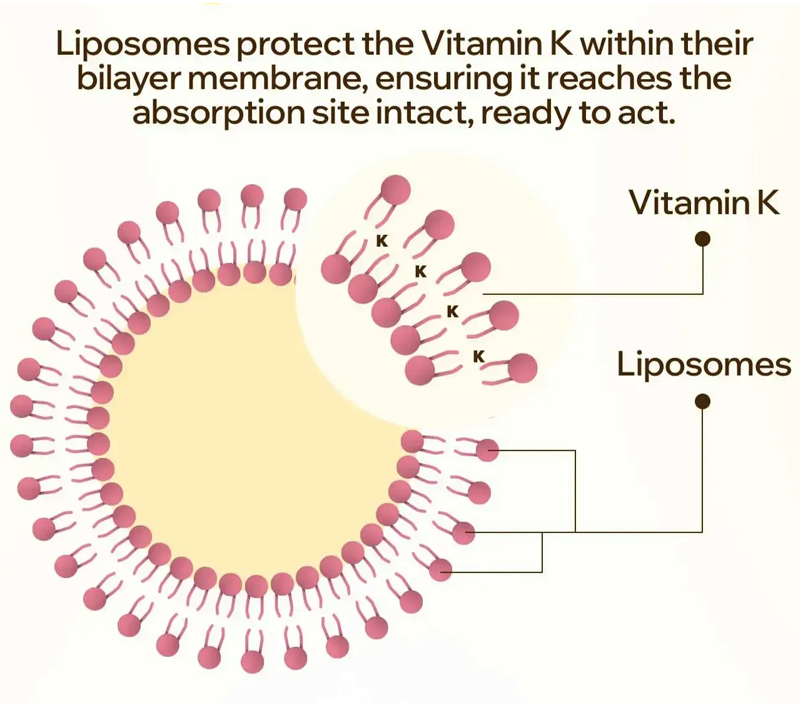 تسليم لطيف والهدف