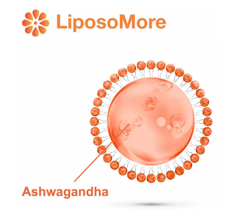 تعزيز المزاج والتوازن العاطفي