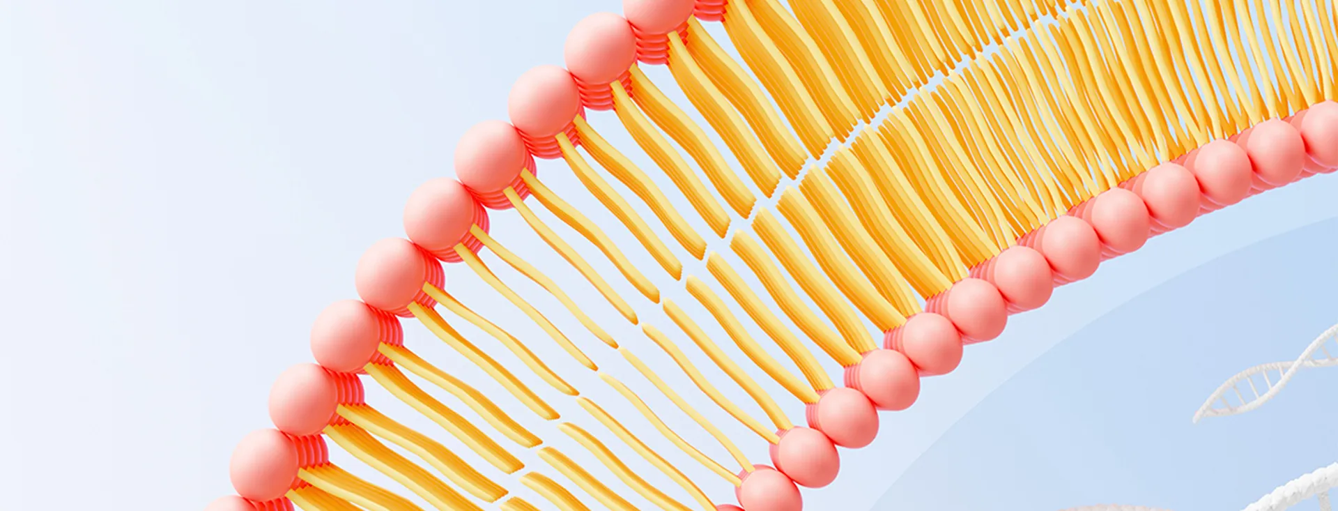 الشركة المصنعة للمكونات الدهنية