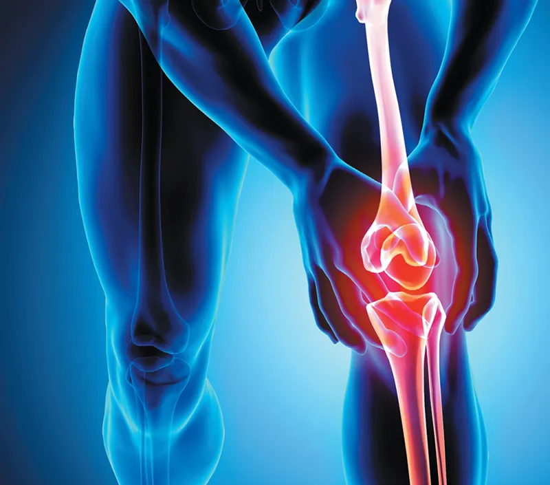 راحة المفاصل الفعالة ودعم التنقل