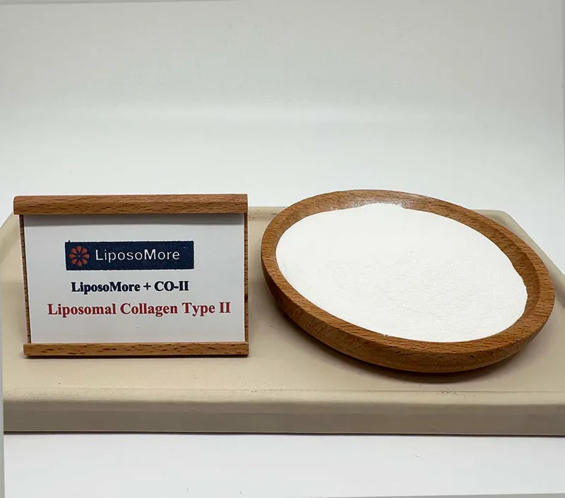 دعم الغضروف متفوقة